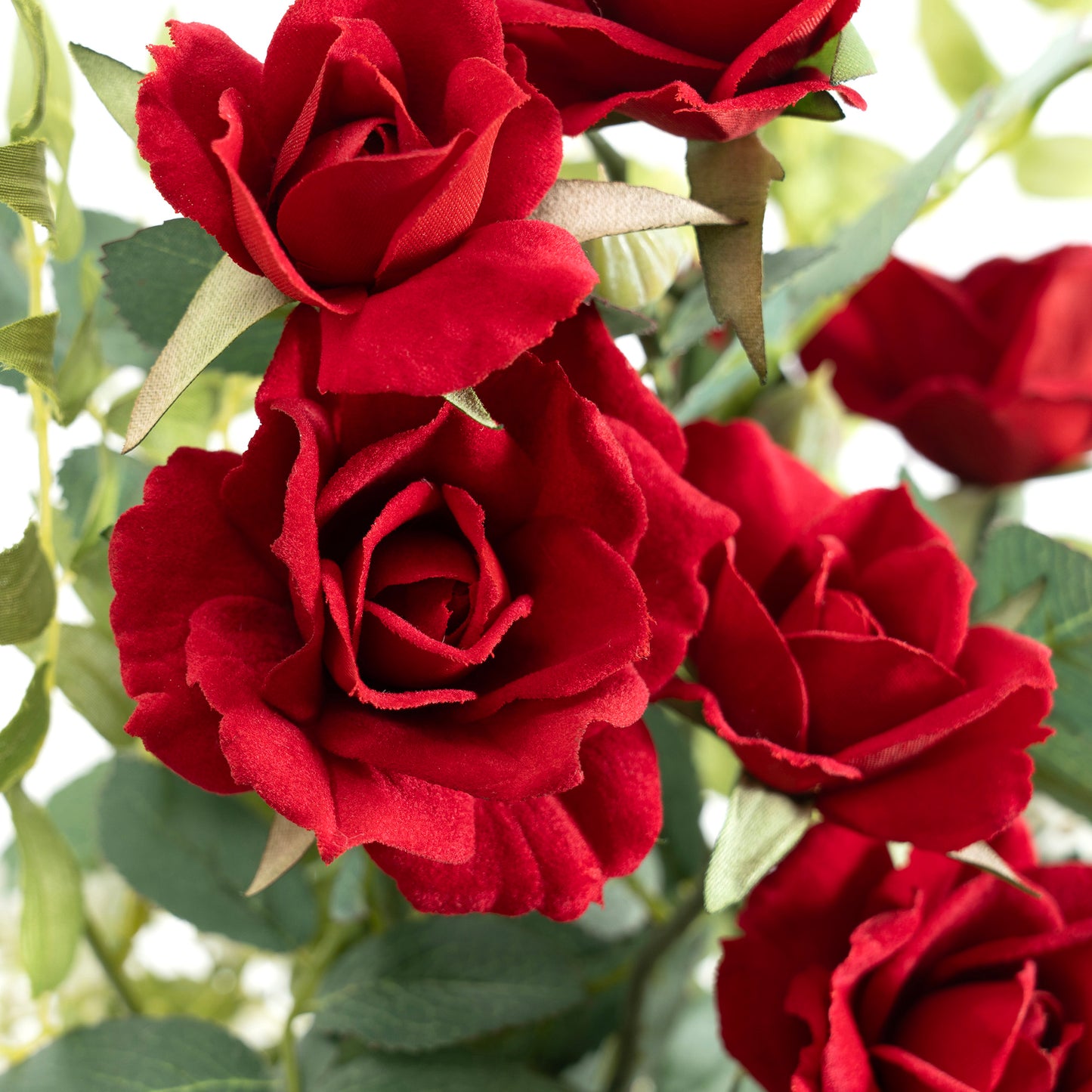 薔薇と蘭のアレンジポット