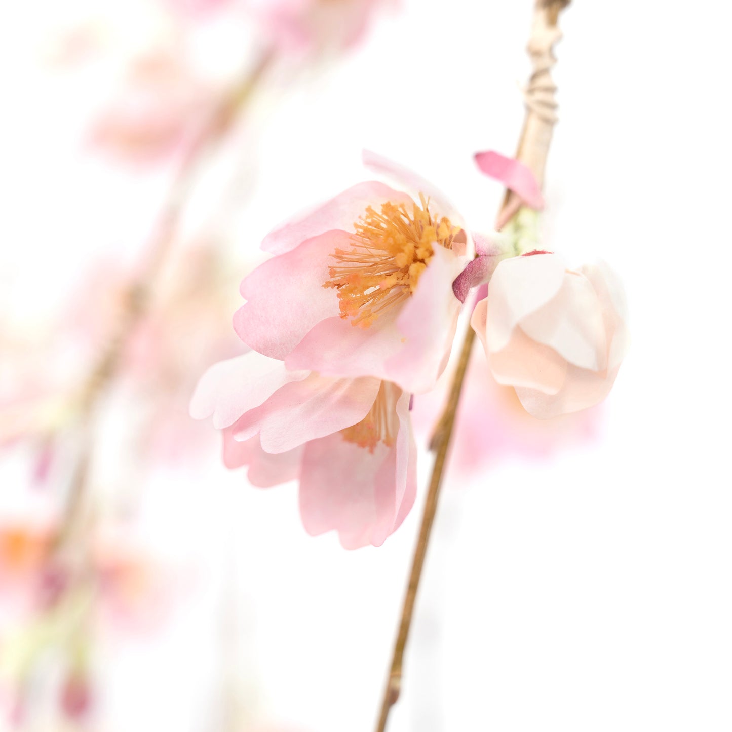 和紙 しだれ桜W