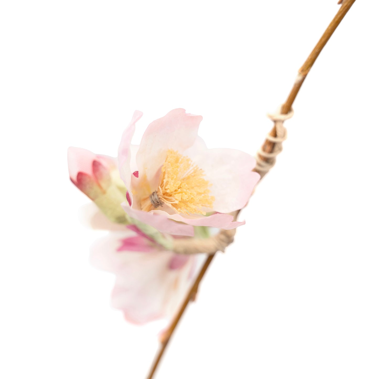 和紙 しだれ桜W