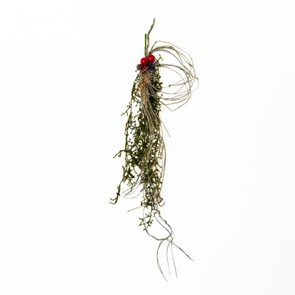 クリスマススワッグ【フォレストライン】